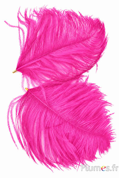 Ciondolo testa di struzzo - 17-20 cm - fucsia